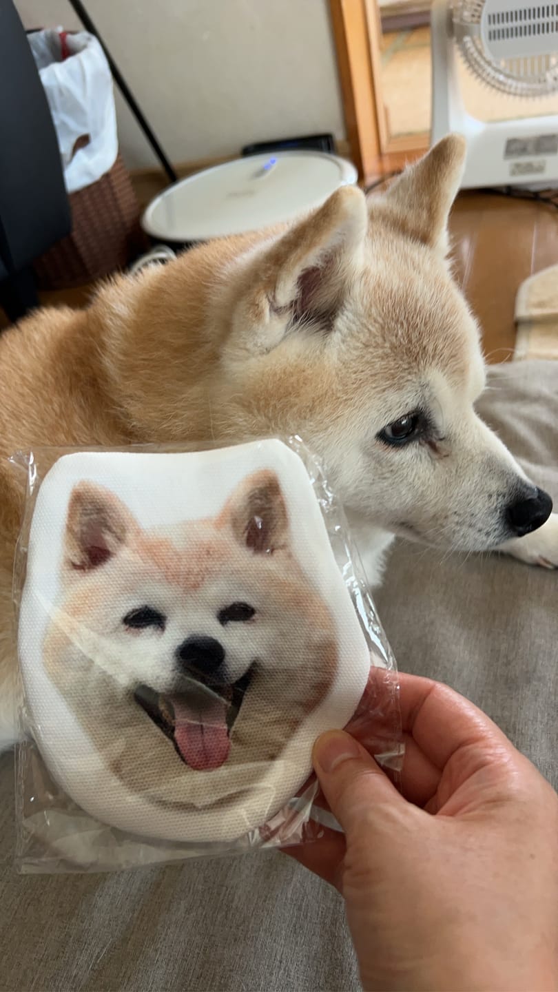 Customer photo review of 本物そっくり♪ペットフェイスバッグ