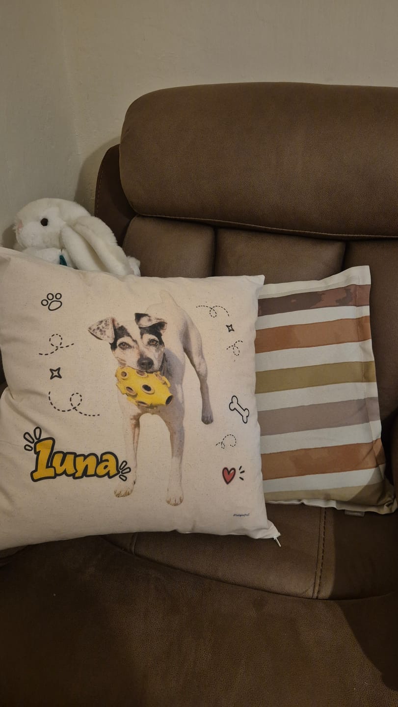 Customer photo review of Funda Cojín Personalizado Mascota