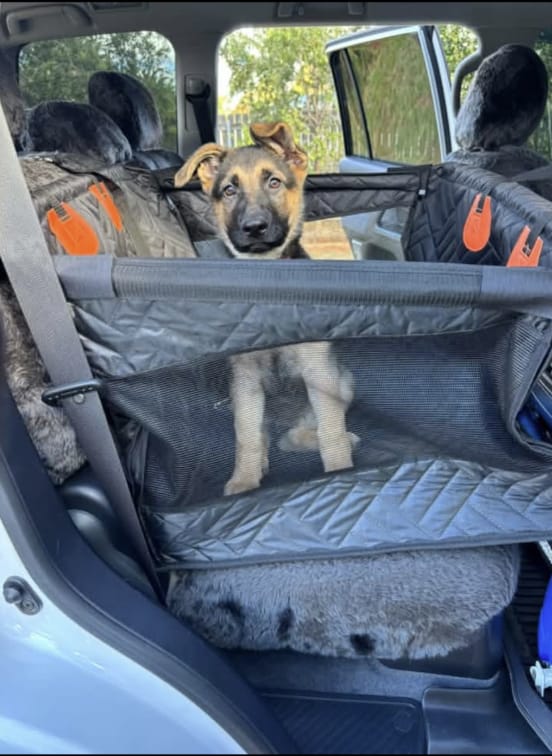 Customer photo review of Marlo&Co™ Single Travel Seat