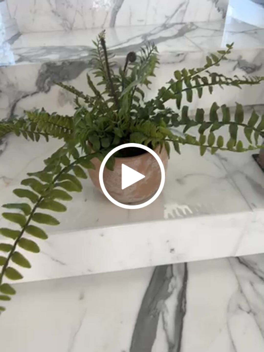 Customer video review of Matte Mocha Outdoor/Indoor Planter Box WSCL 8085E-5
