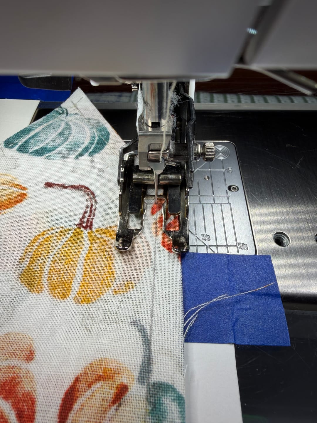 Customer photo review of Walking Foot, Bernina  #P60443