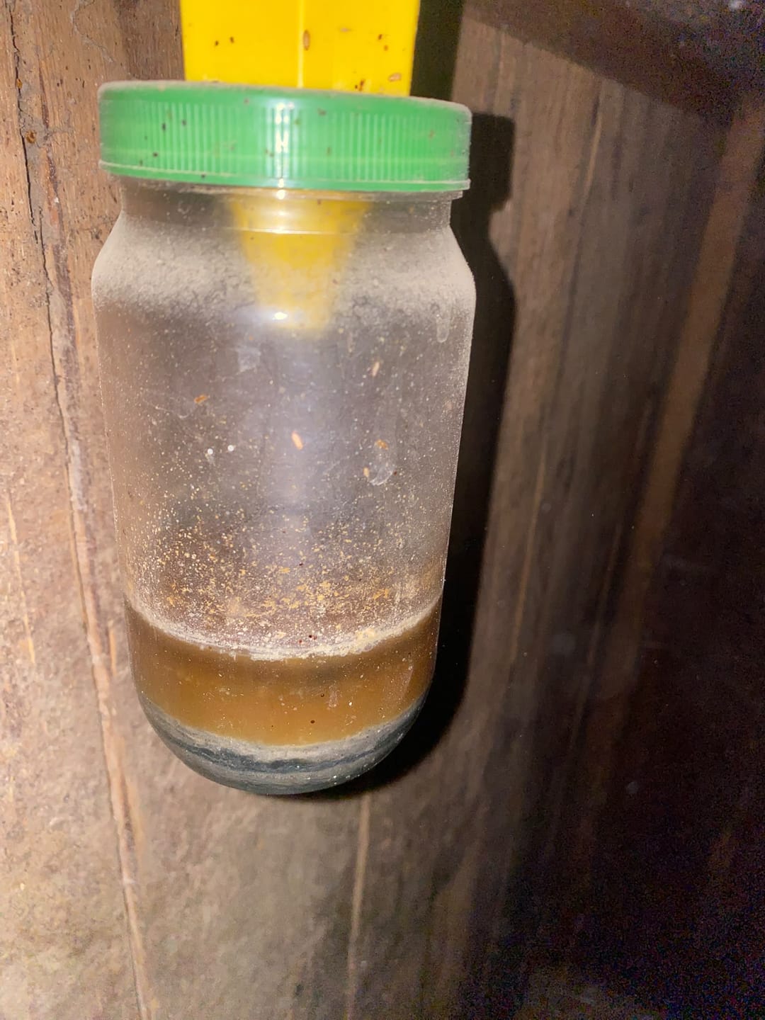 Customer photo review of Liquid Trap Köder – Bio-Lockstoff für Fliegen & Bremsen