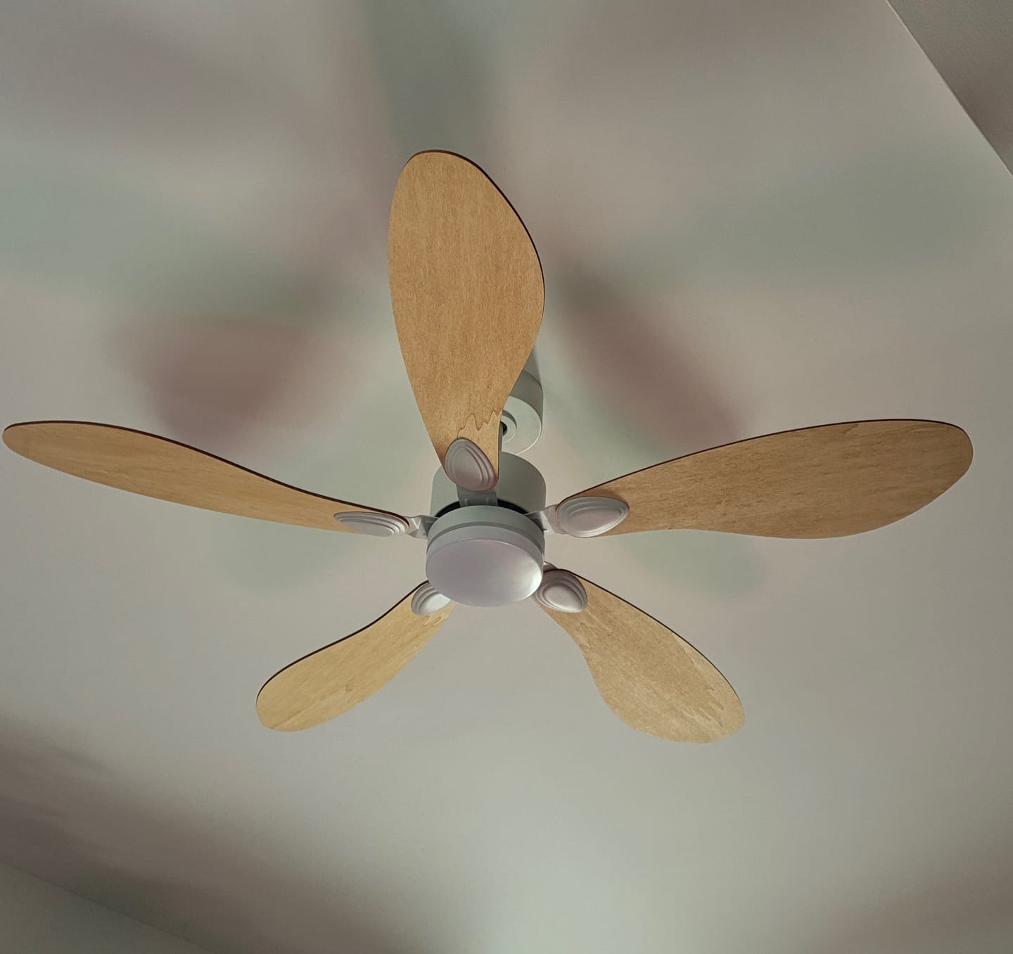 Customer photo review of Dahlia | Ventilateur de plafond