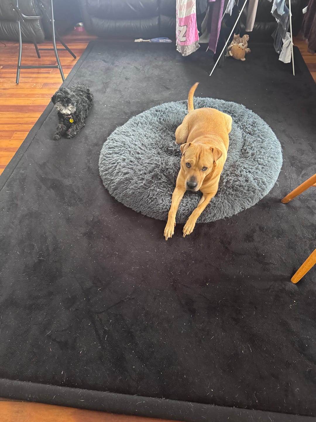 Customer photo review of Relax Mat - Soft Foam Play Mat