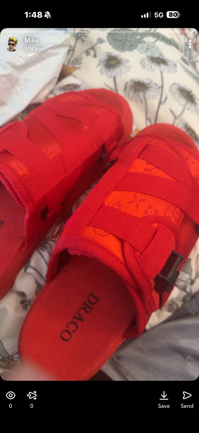 Customer photo review of Original Dracoslides