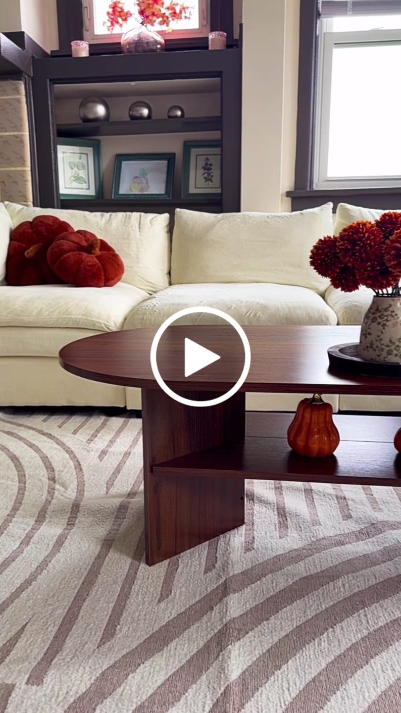 Customer video review of Echo Washable Area Rug - Beige