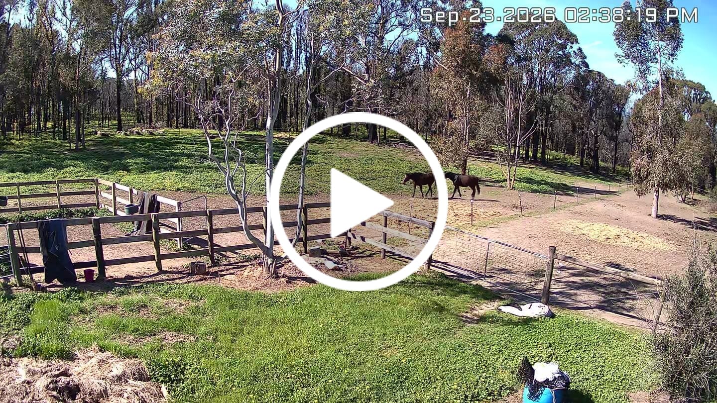 Customer video review of Solar Camera Pro 3.0 WIFI®