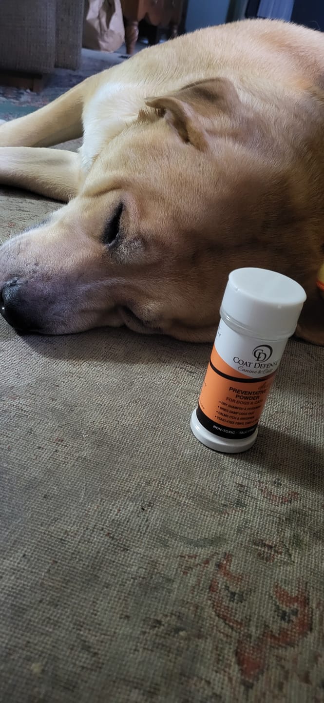 Customer photo review of Daily Preventative Powder