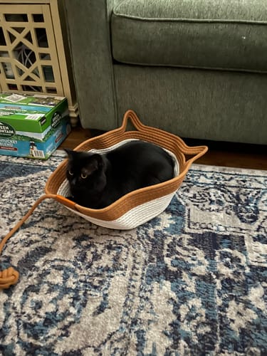 Customer's black cat resting inside the orange and white Instinct Basket on a patterned rug.