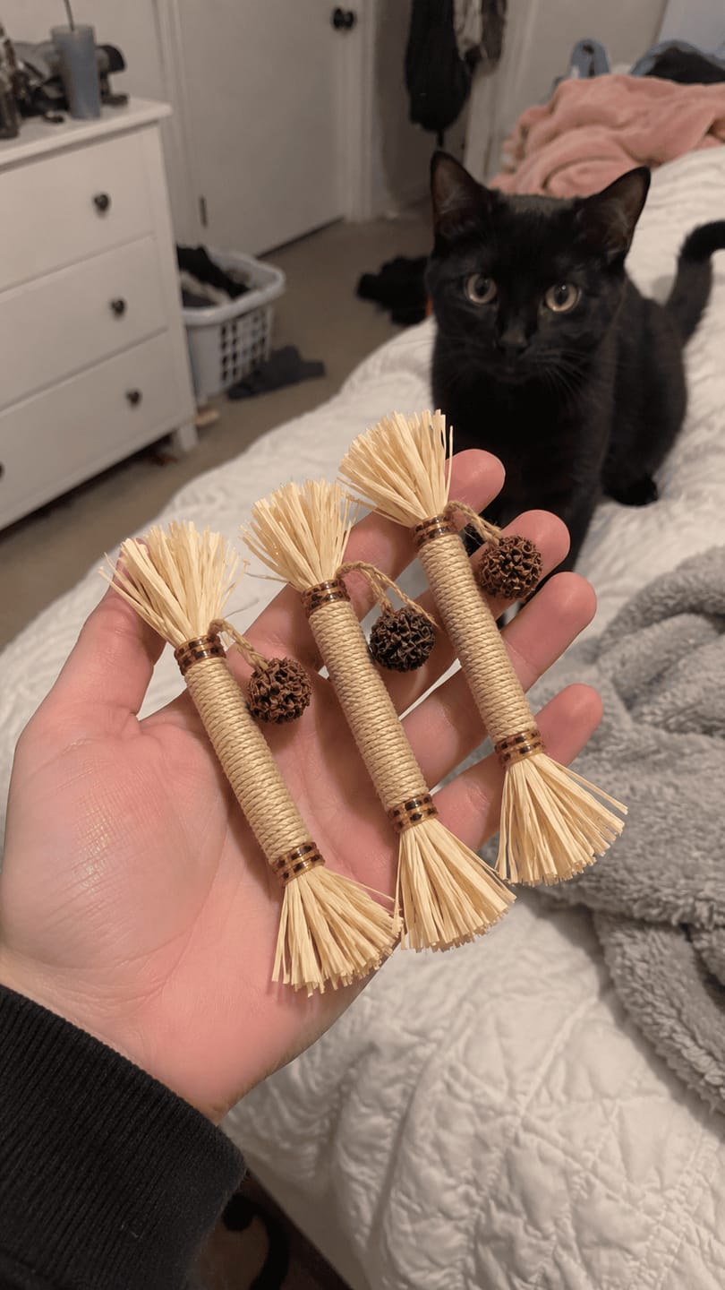 Customer photo review of Mordedor para Higiene Dental de Gatos