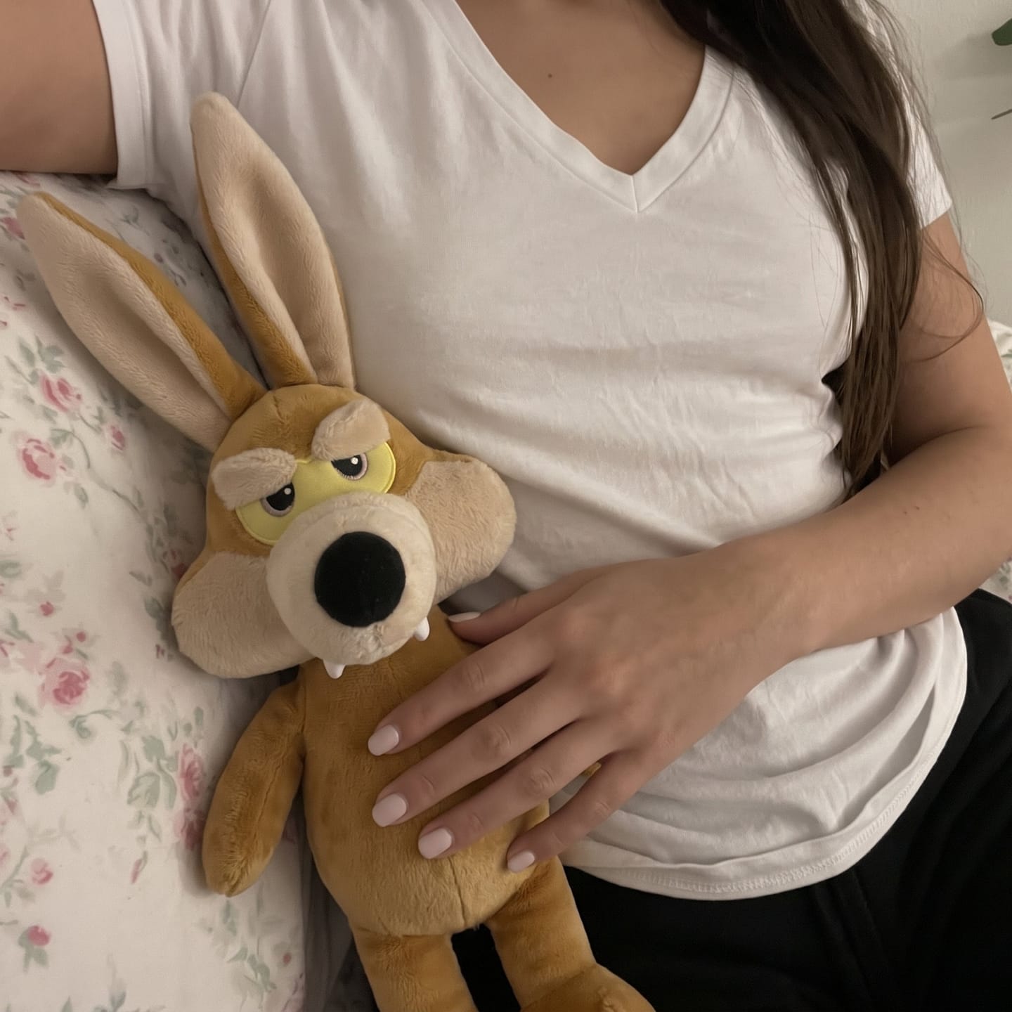 Customer photo review of ZoomiesPets™ Coyote Corredor