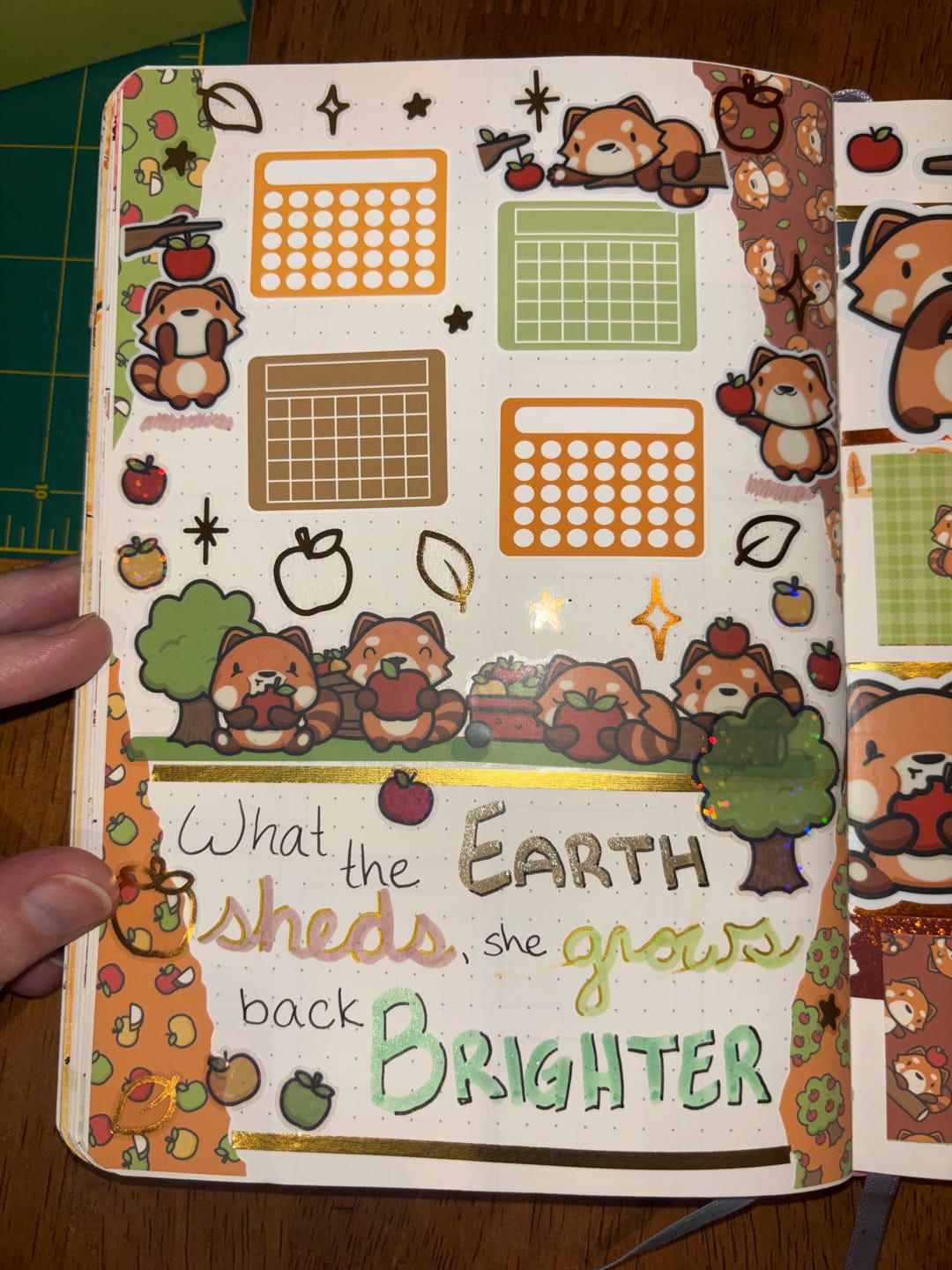 Customer photo review of Fall Pandas Variety Sticker Pack