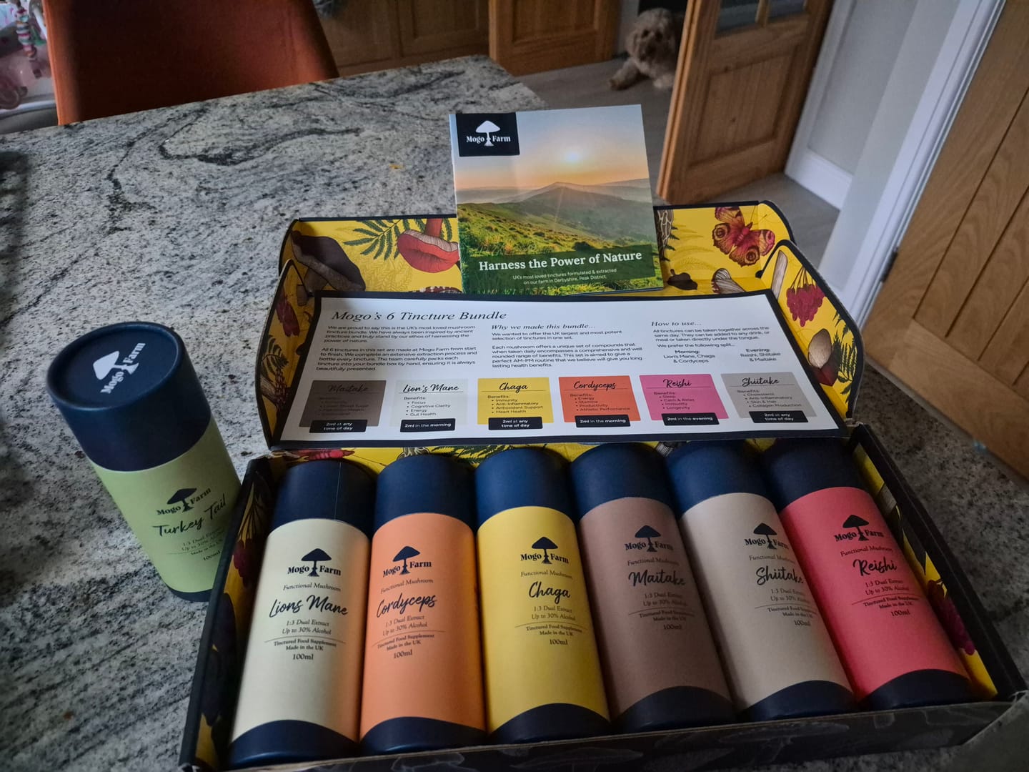 Customer photo review of Mogo 6 Tincture Bundle