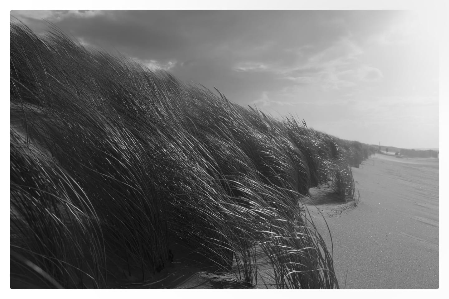Customer photo review of RFL-Mist