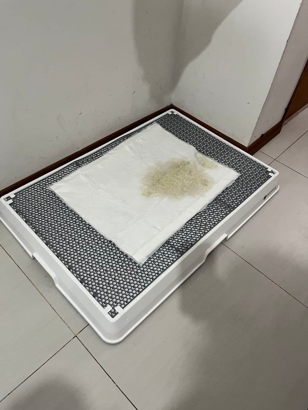 Customer photo review of Weasy Cão | Banheiro inteligente para cachorro