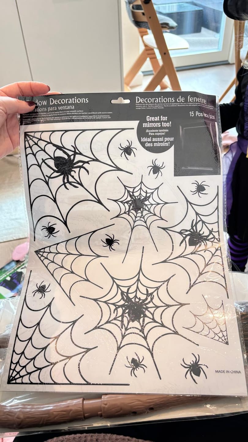 Customer photo review of Spider Window Stickers, 1 Sheet