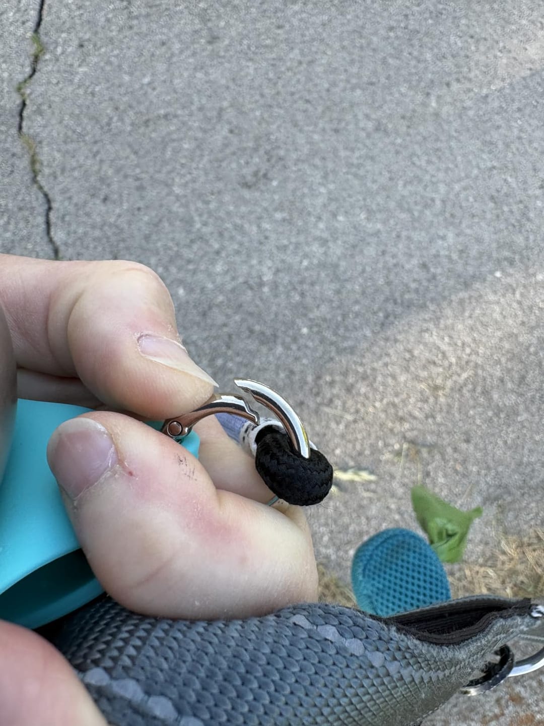 Customer photo review of Pawlytic Lab HydroLoop™ — Less Gear. More Walk.