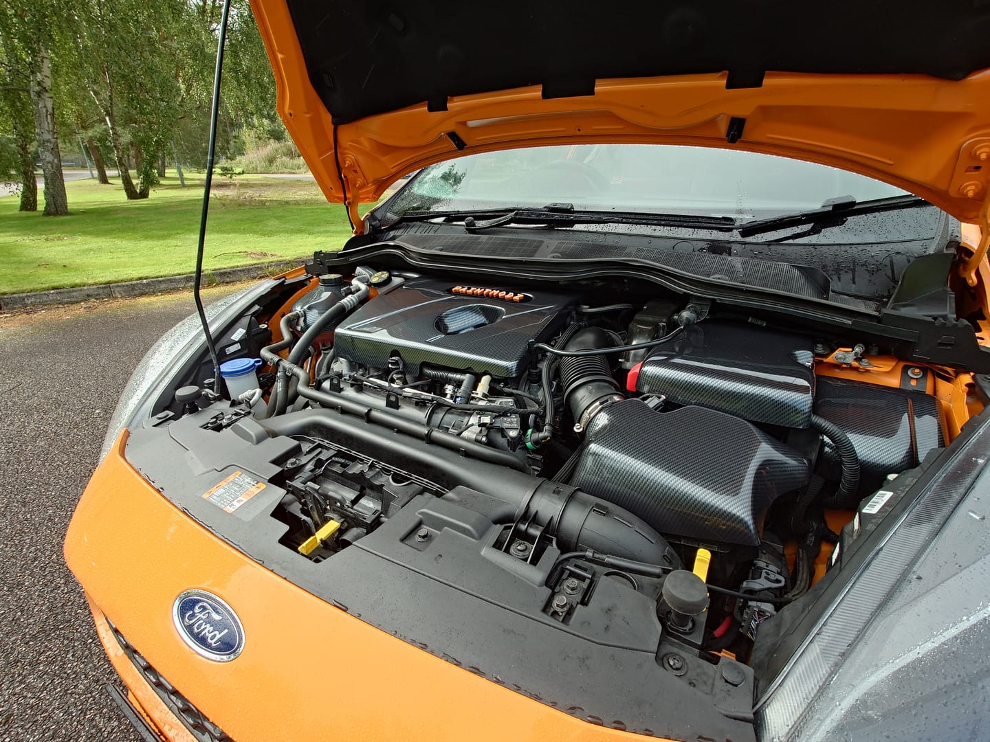 Customer photo review of Proform Engine Bay Dress Up Kit - Mk8/8.5 Fiesta & Mk2/2.5 Puma (Plastic Finishes)