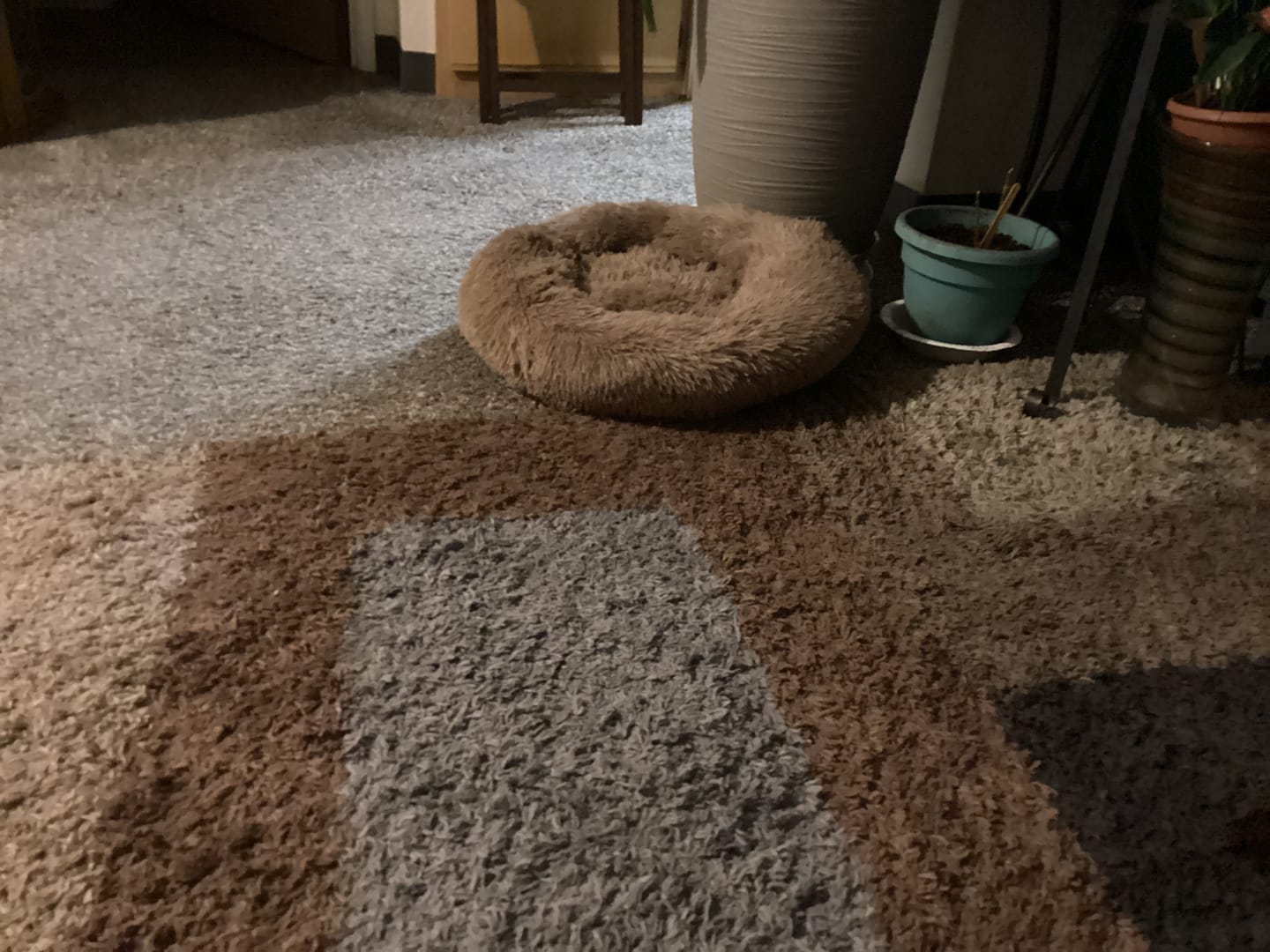 Customer photo review of The Original Fluffy Bean® Pet Bed