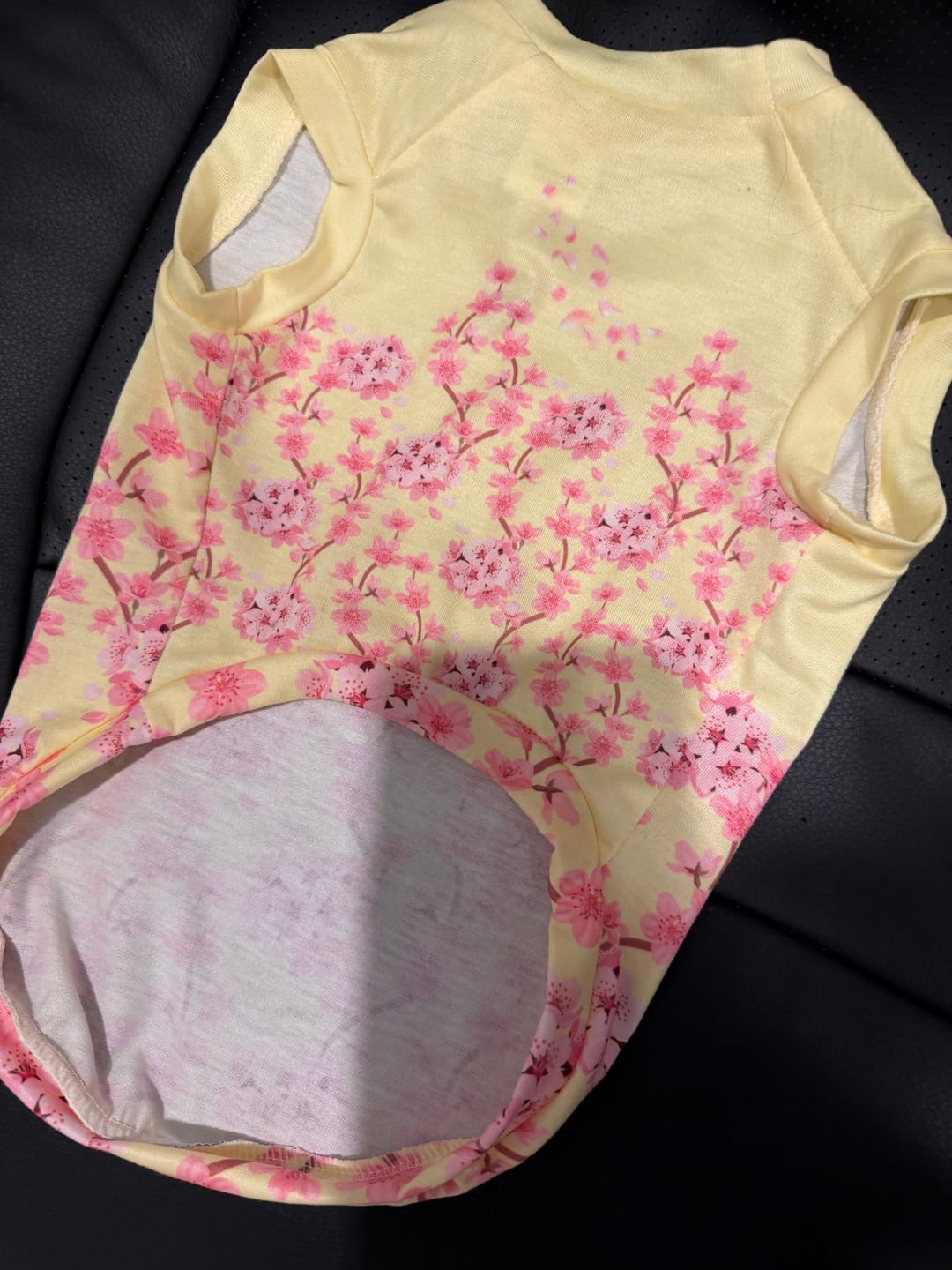 Customer photo review of Yellow Floral Maxi Dress & Pet Tank
