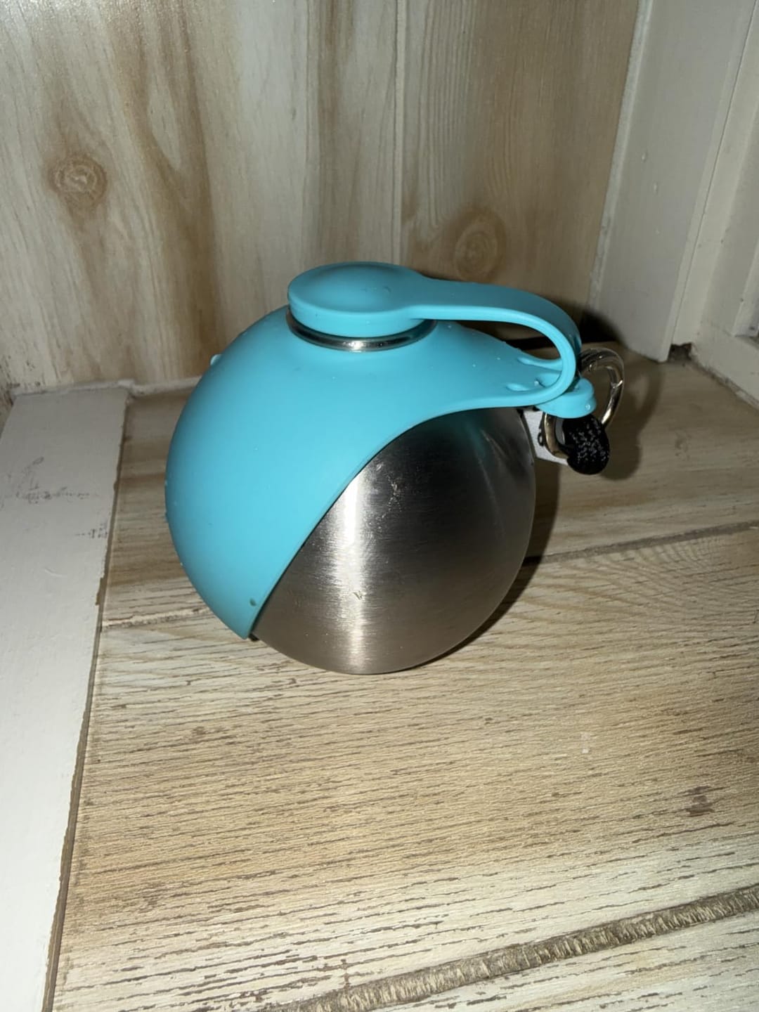 Customer photo review of Pawlytic Lab HydroLoop™ — Less Gear. More Walk.