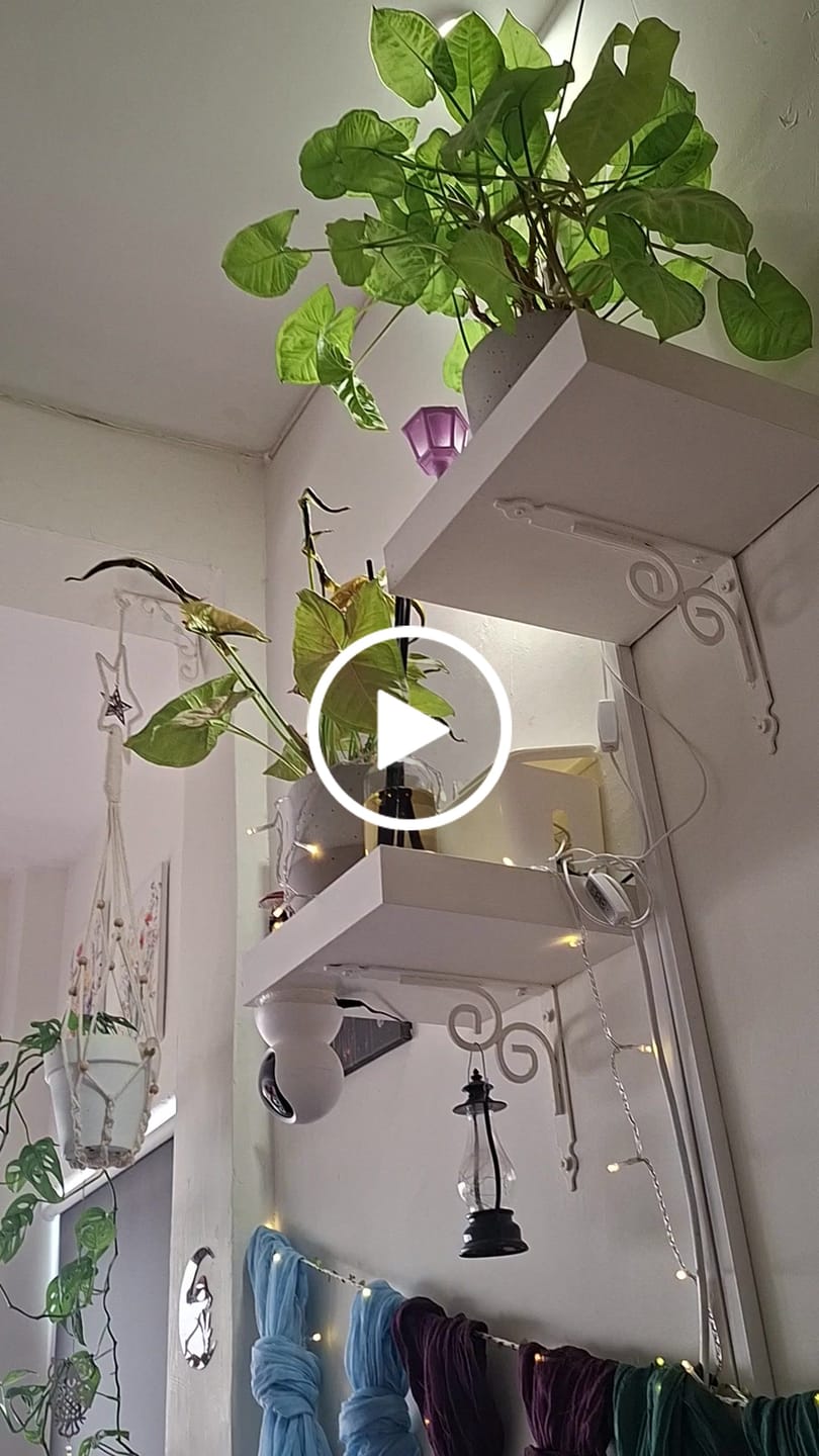 Customer video review of מפיץ ריח וניל ופטשולי // Home Sweet Home