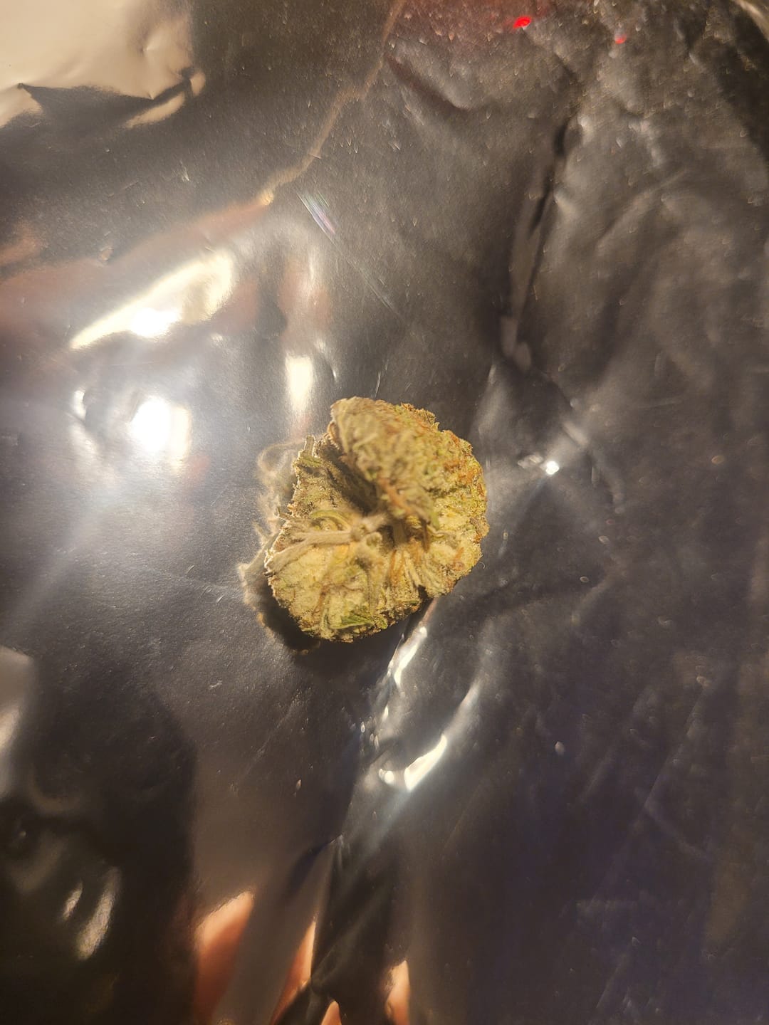 Customer photo review of Acapulco Punch THCA Flower