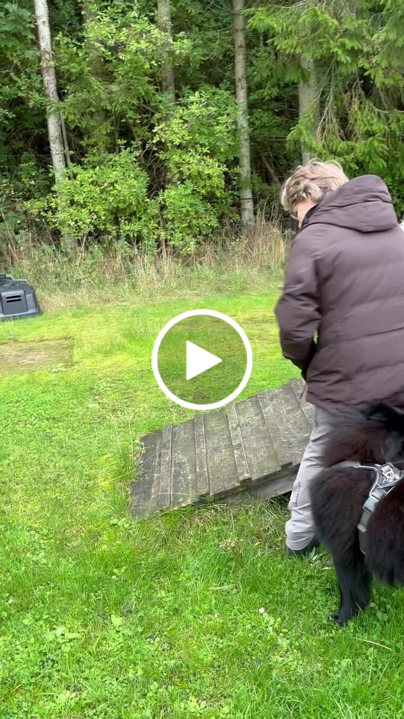 Customer video review of Unisex Allround Pants 2.0 I Duffy I Kort længde I Ronja (Dame)
