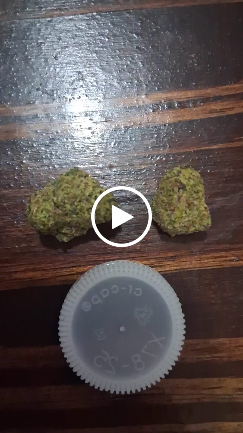Customer video review of Scissor Queen (Indoor Smalls) - THCA Flower