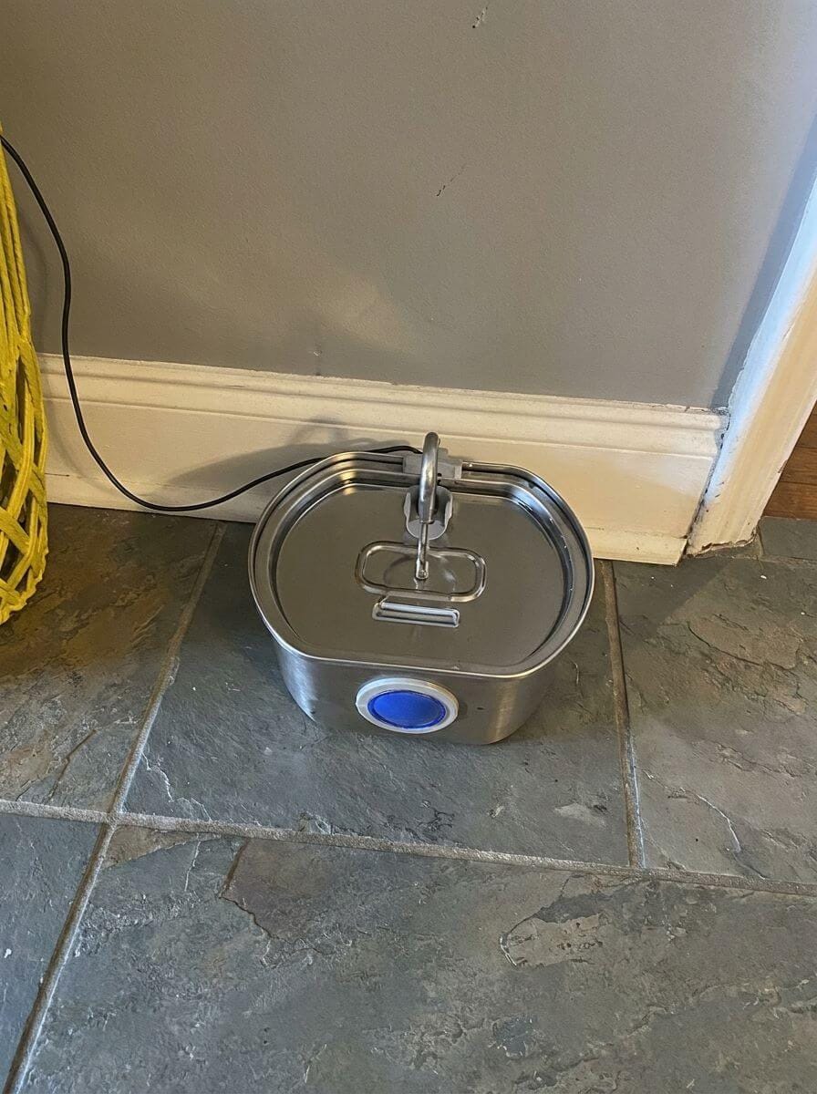 Customer photo review of Purrsteel Fresh Water Fountain