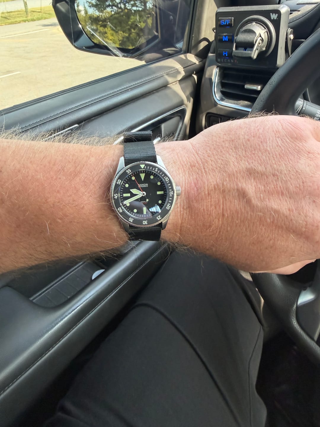 Customer photo review of Merlin (Private Release)