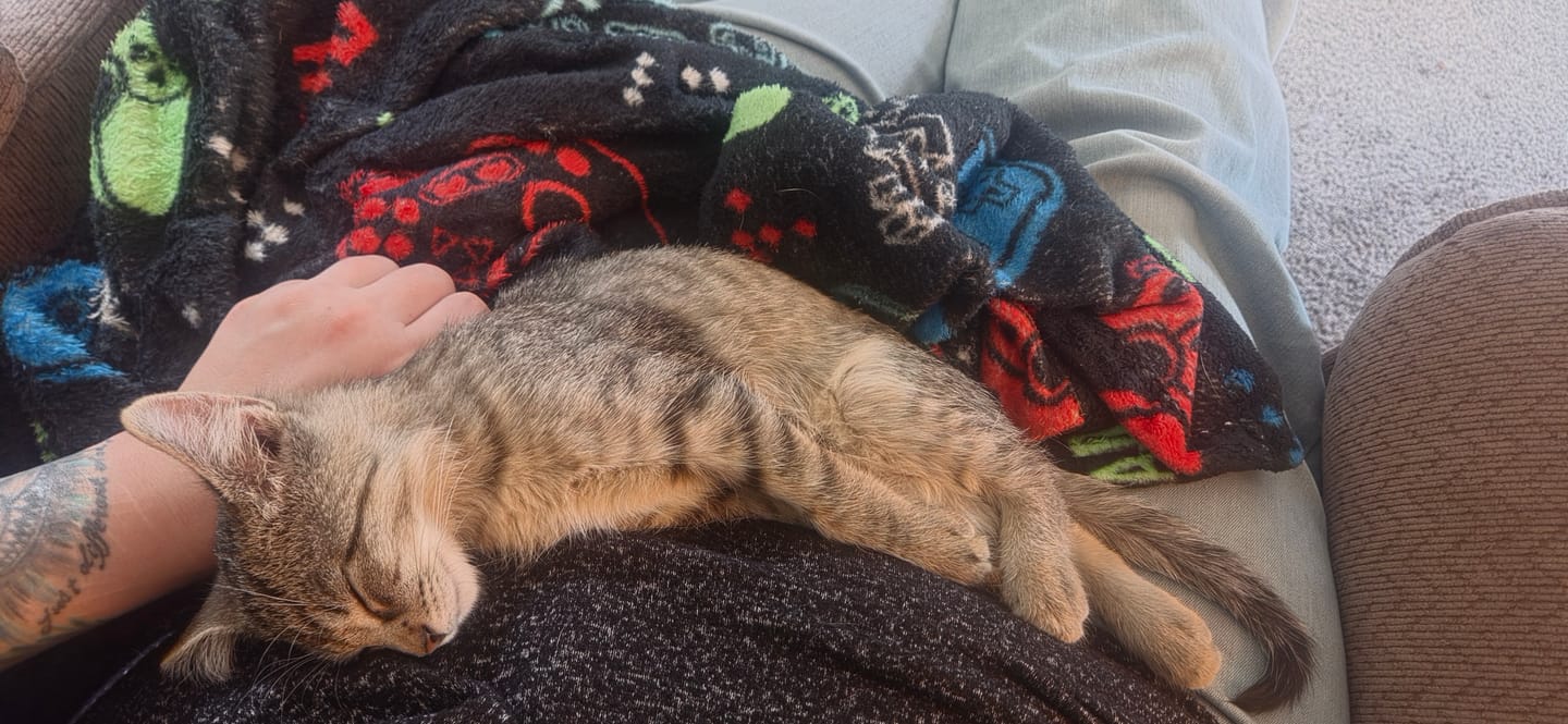 Customer photo review of Pumpkcat Bath & Body Oil