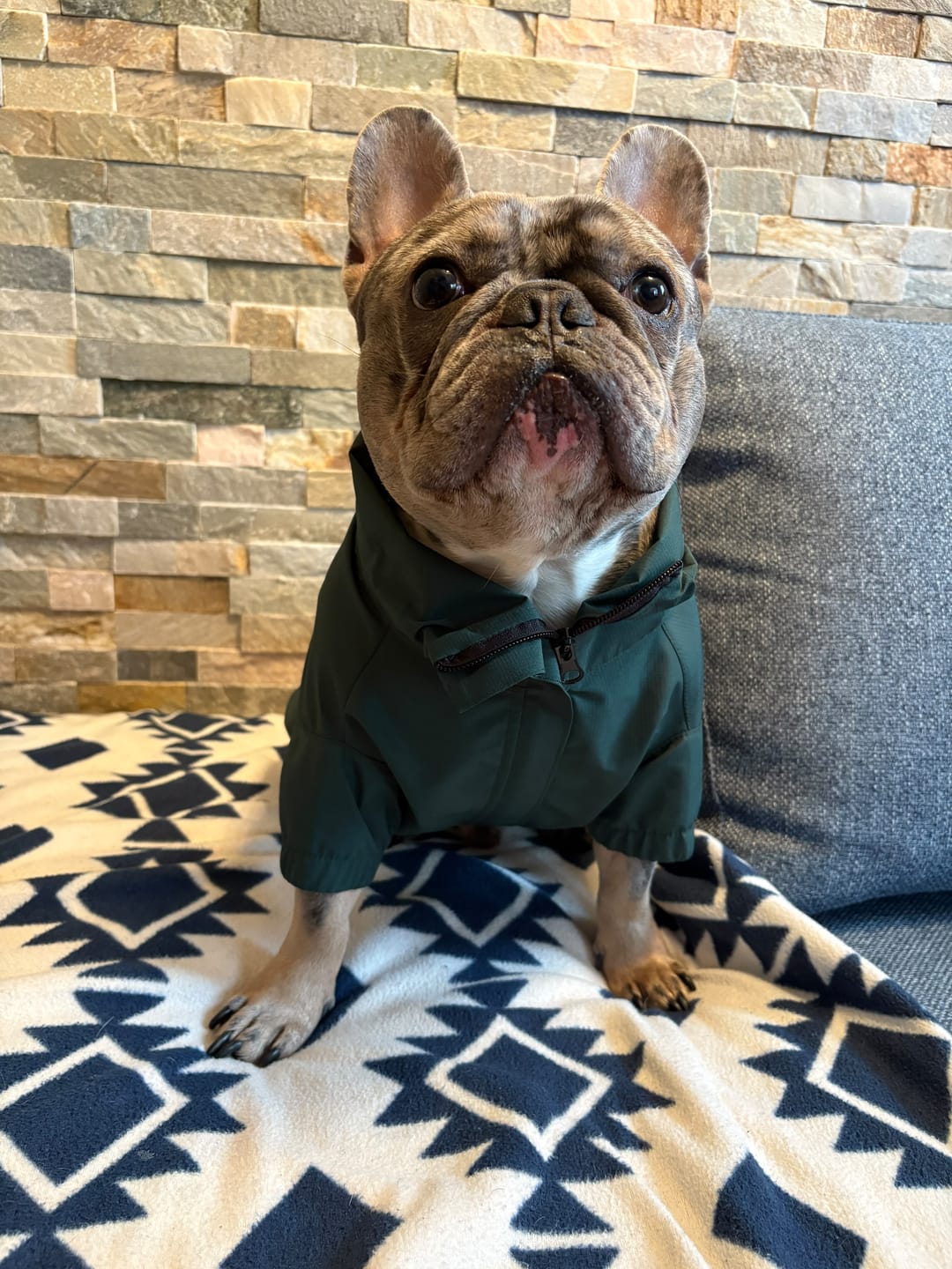 Customer photo review of Chaqueta Impermeable de Lluvia - Verde