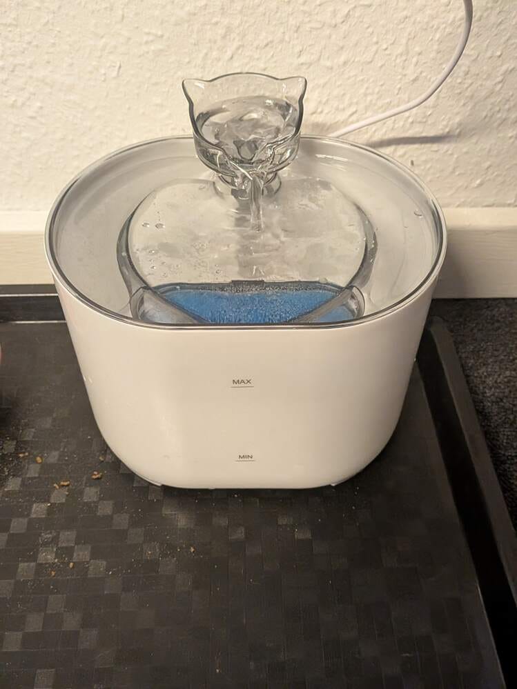 Customer photo review of Fontaine à Eau pour Chat 2,2L – Filtration Continue