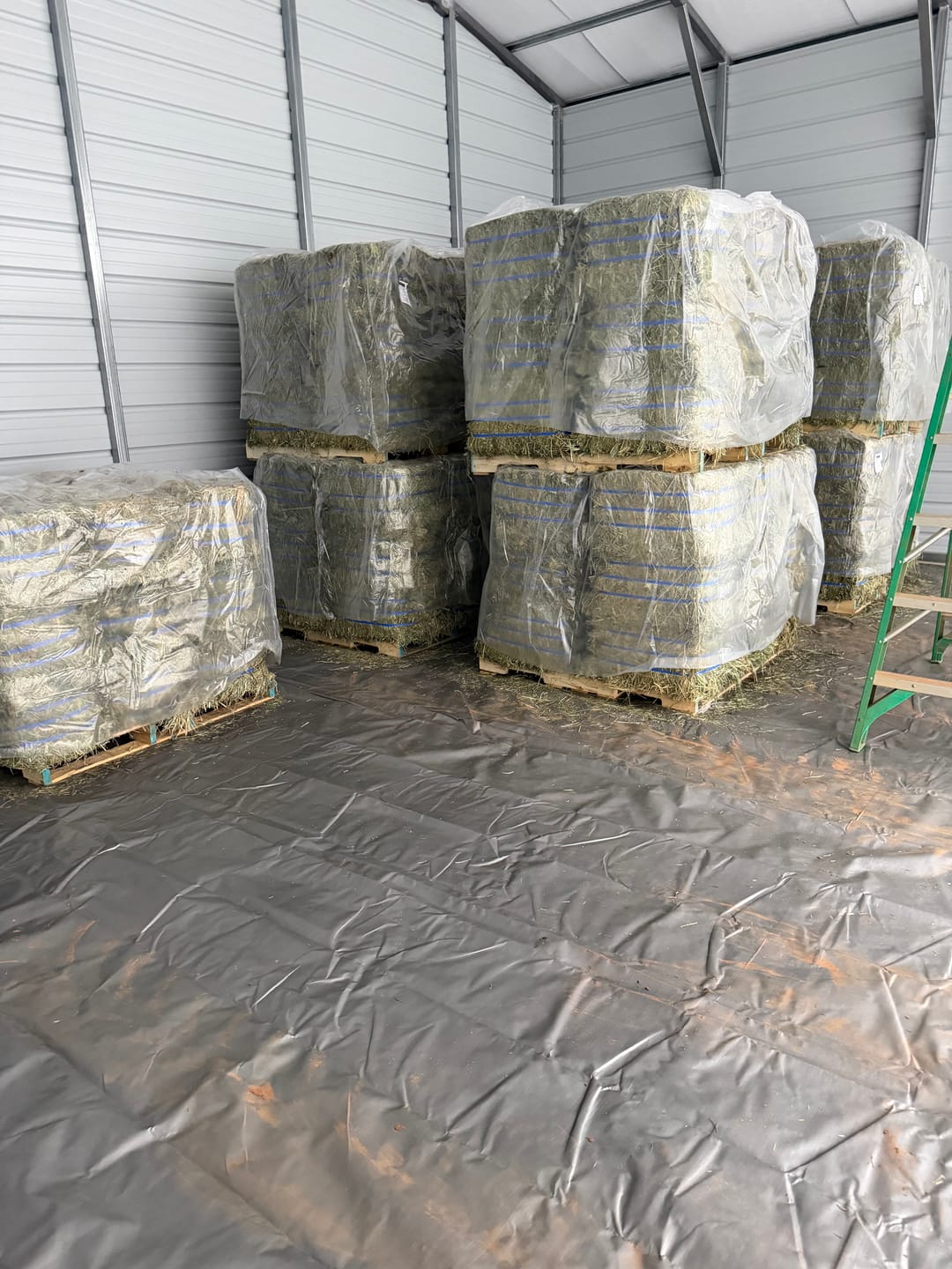 Customer photo review of Western Straight Orchard Grass Hay, 2nd Cut (Click here for Qty Discount)- Includes delivery and ground level stacking with our forklift too!