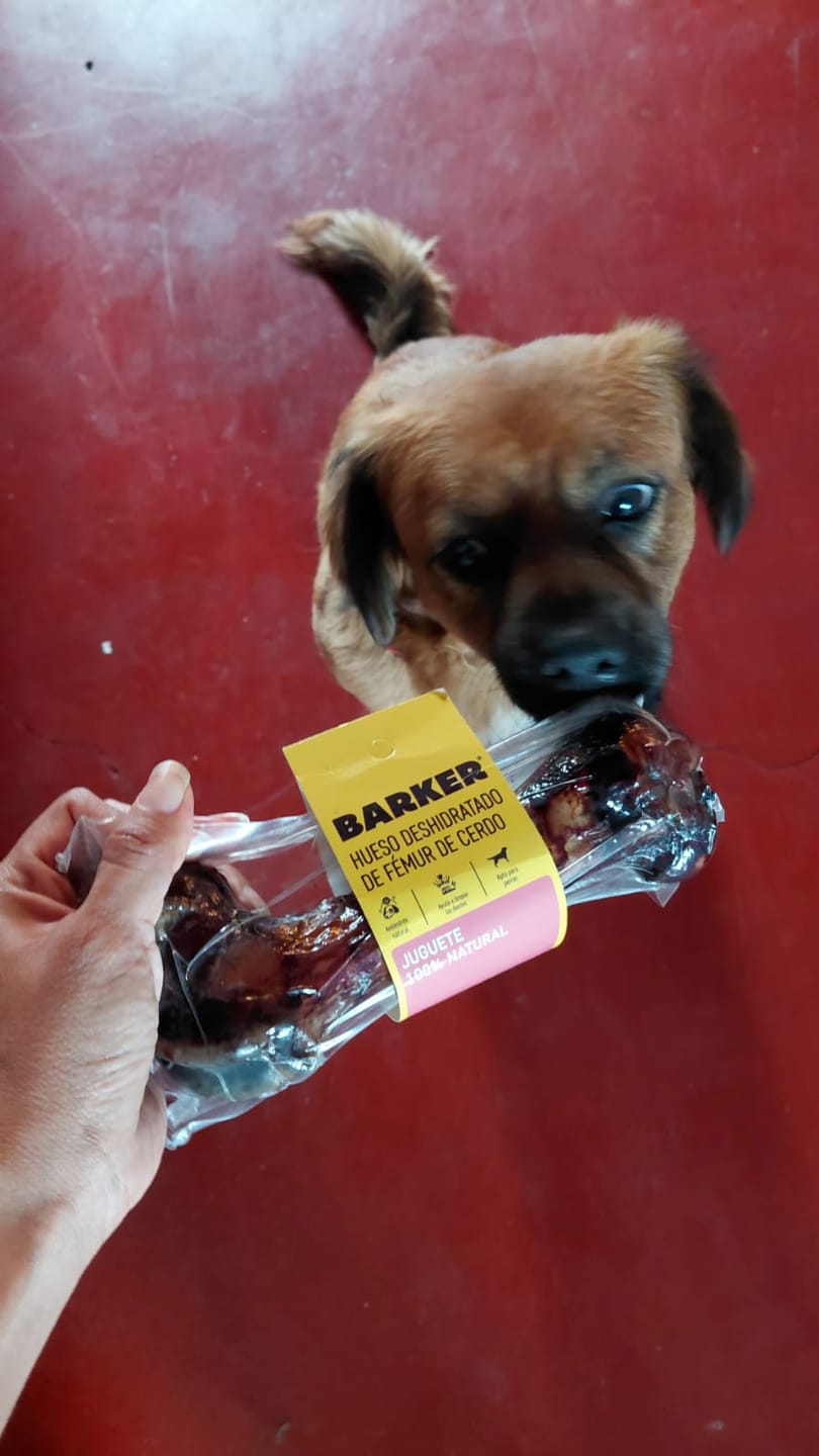 Customer photo review of Lata Cat Pescados Marinos