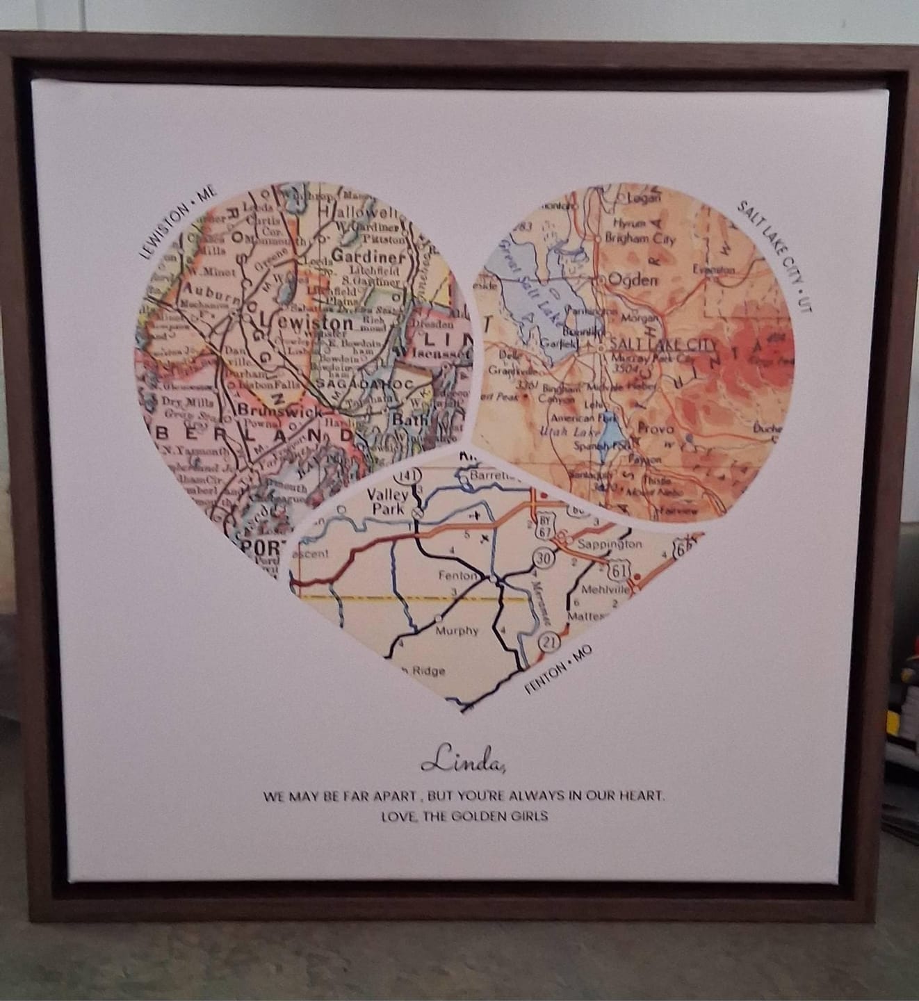 Customer photo review of Milestones Map [Digital Only]