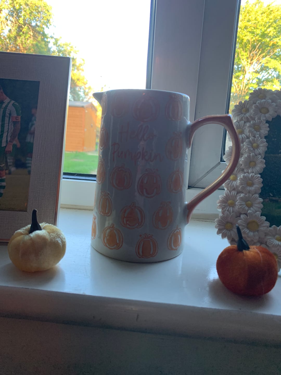 Customer photo review of Hello Pumpkin Medium Jug