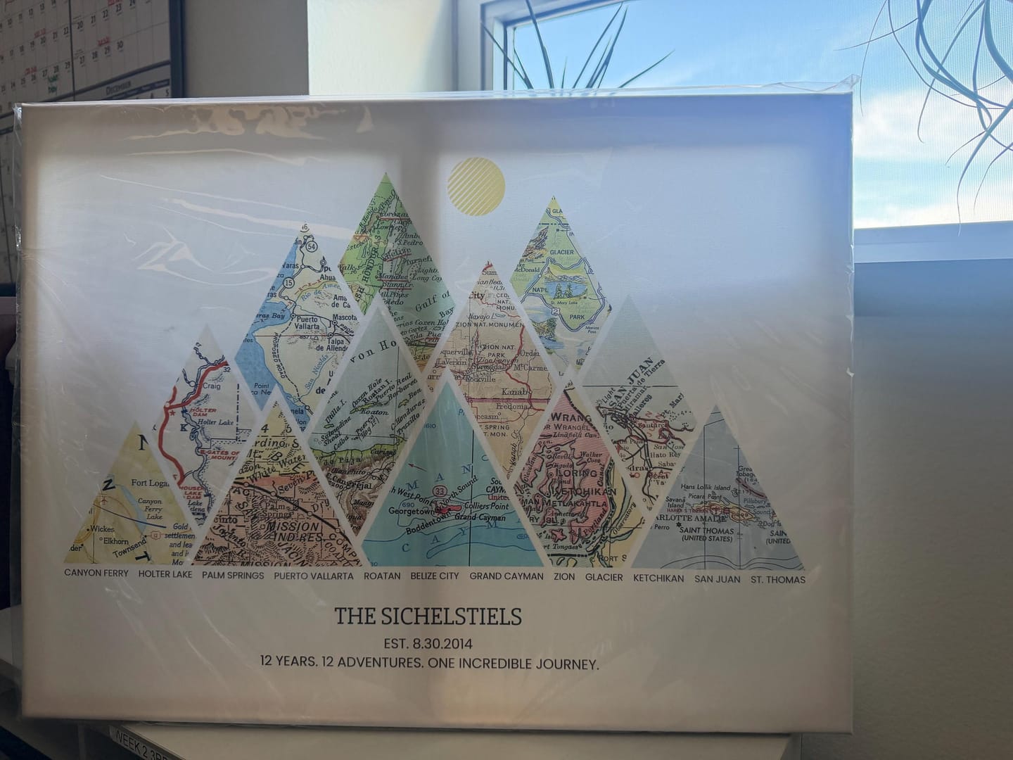 Customer photo review of Milestones Map [Digital Only]