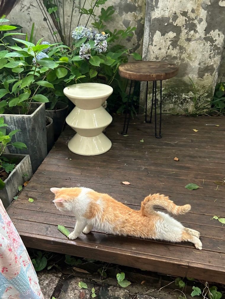 Customer photo review of KKUSO ABS SIDE TABLE - BONGO ALMOND MILK