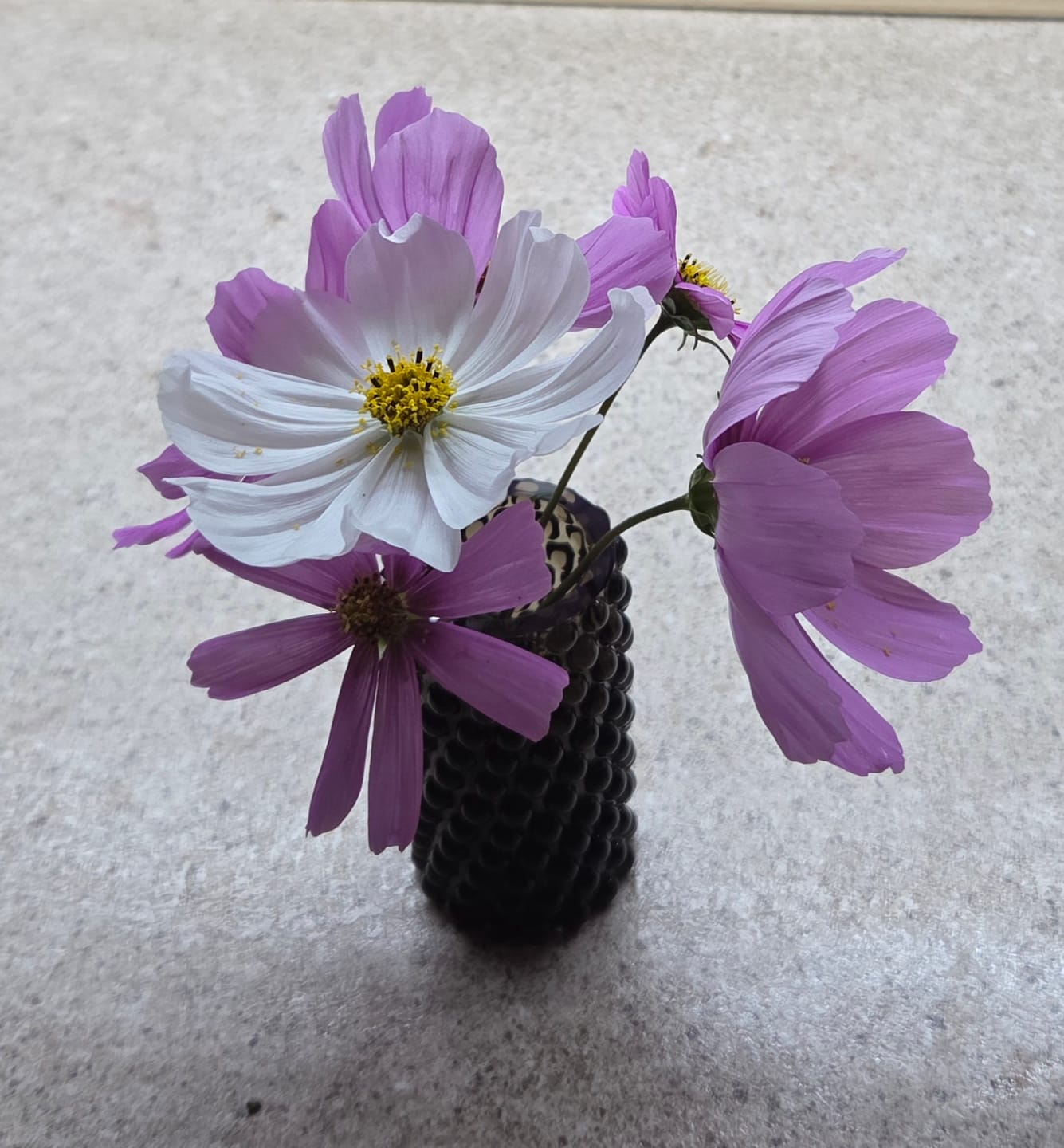 Customer photo review of Black Smoke Hobnail Bud Váza