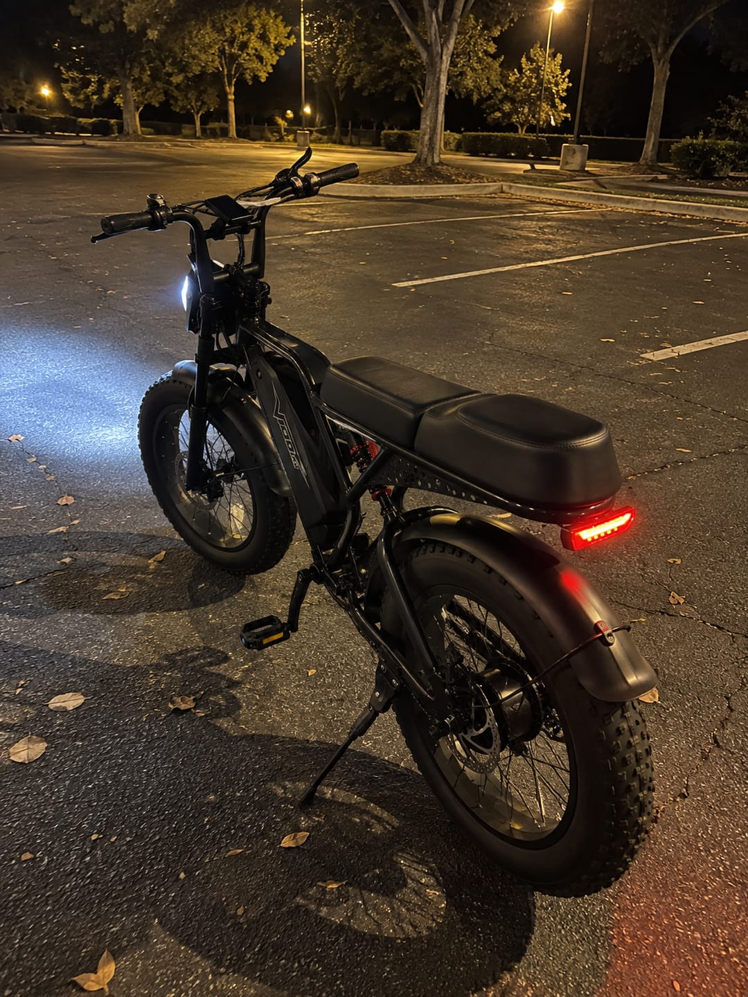 Customer photo review of Eskute® V100 Pro 20*4.0" Electric Bike for Adults