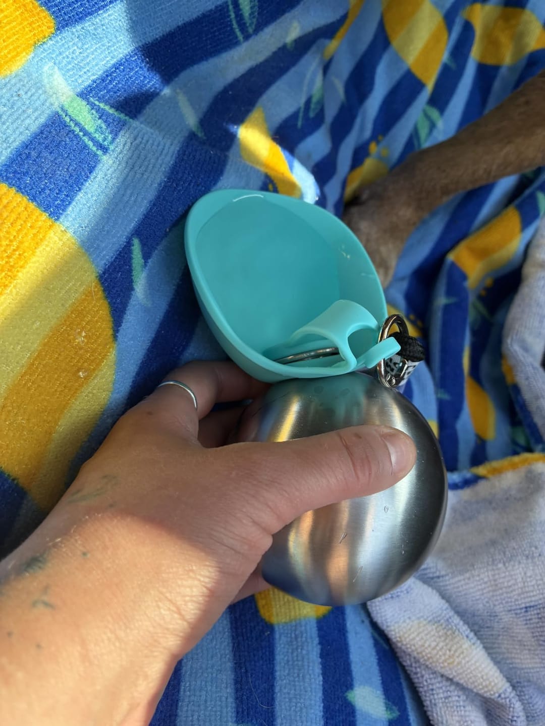 Customer photo review of Pawlytic Lab HydroLoop™ — Less Gear. More Walk.