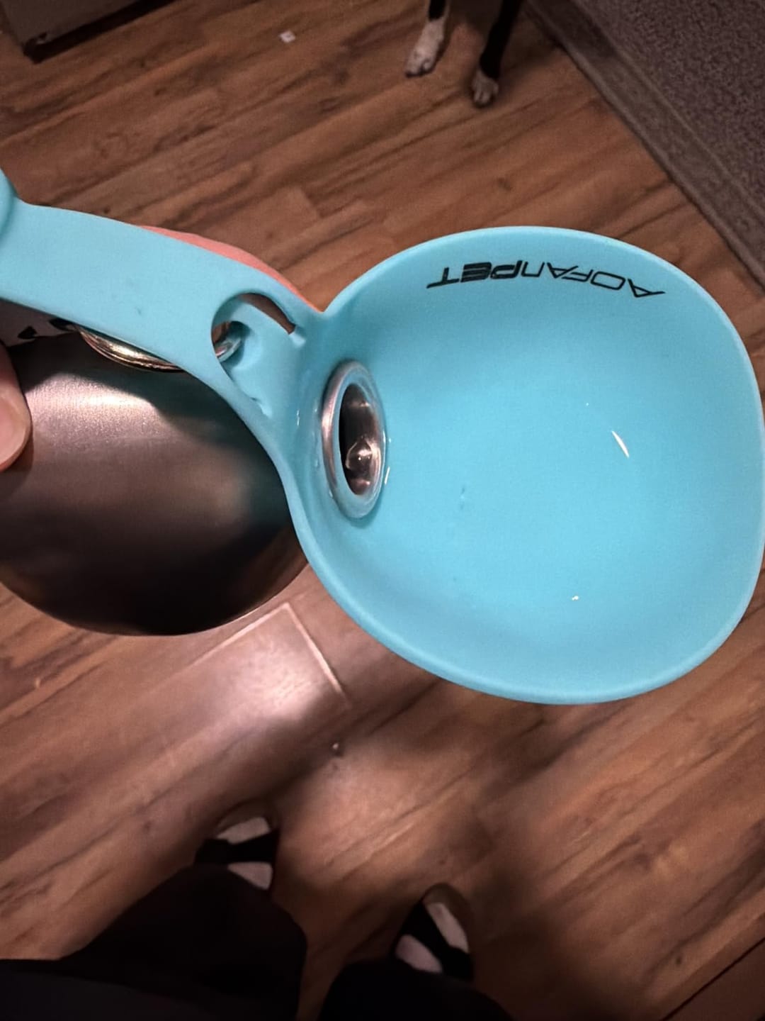 Customer photo review of Pawlytic Lab HydroLoop™ — Less Gear. More Walk.
