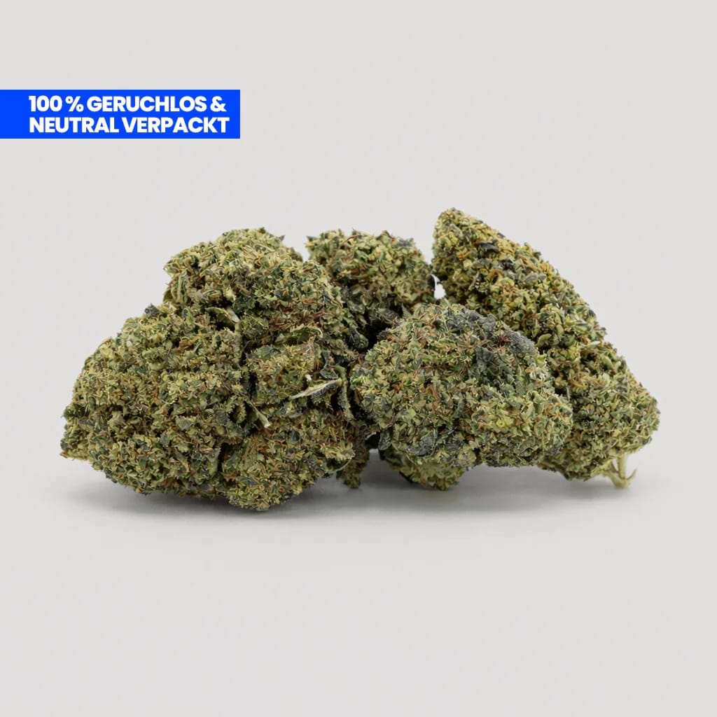 Customer photo review of Lemon Cherry Gelato 9H-THC