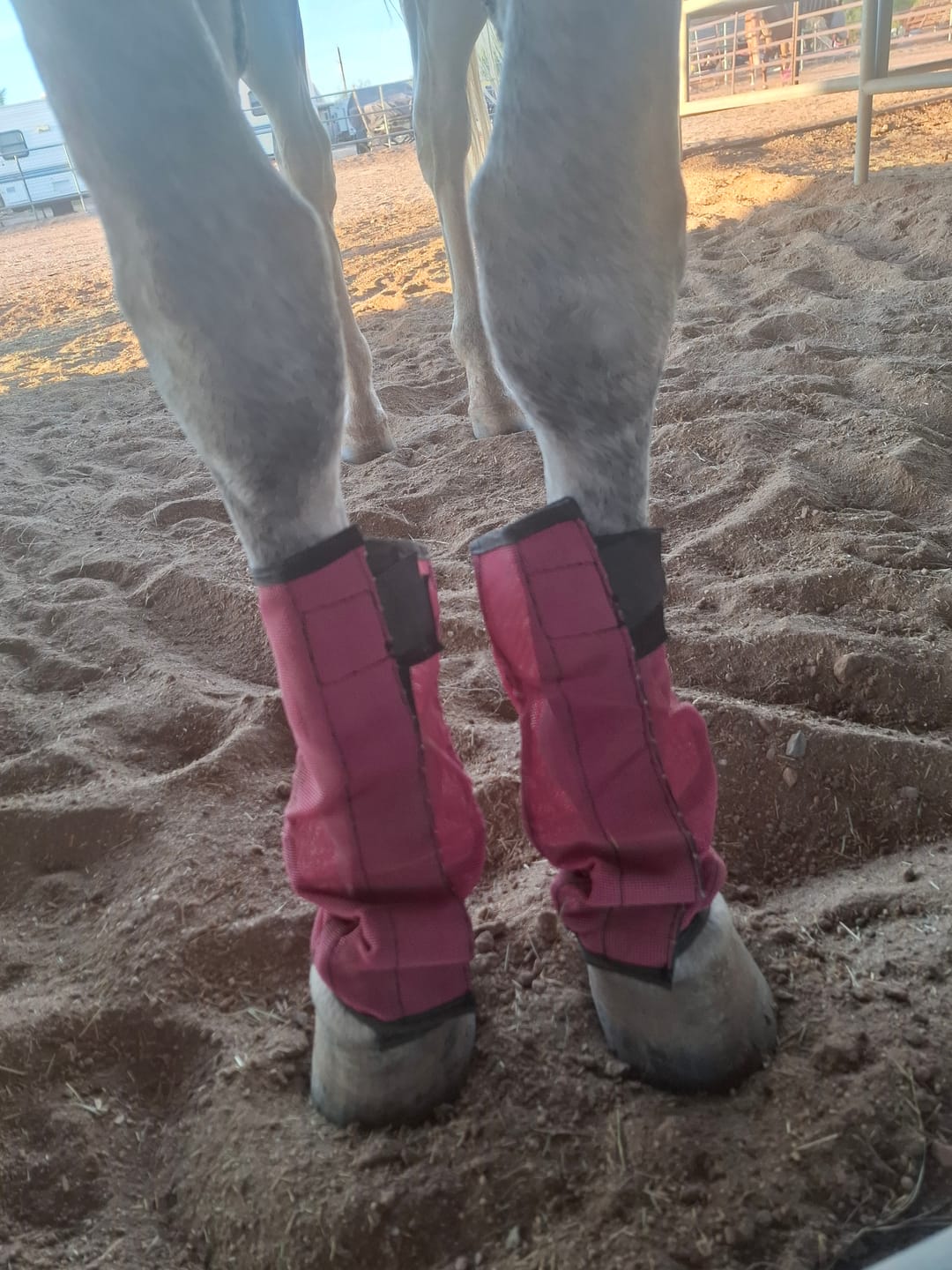 Customer photo review of The FlyBlock Boots