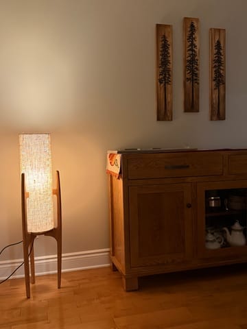 Customer photo review of Rocketlamp | Floor Lamp | Black Walnut