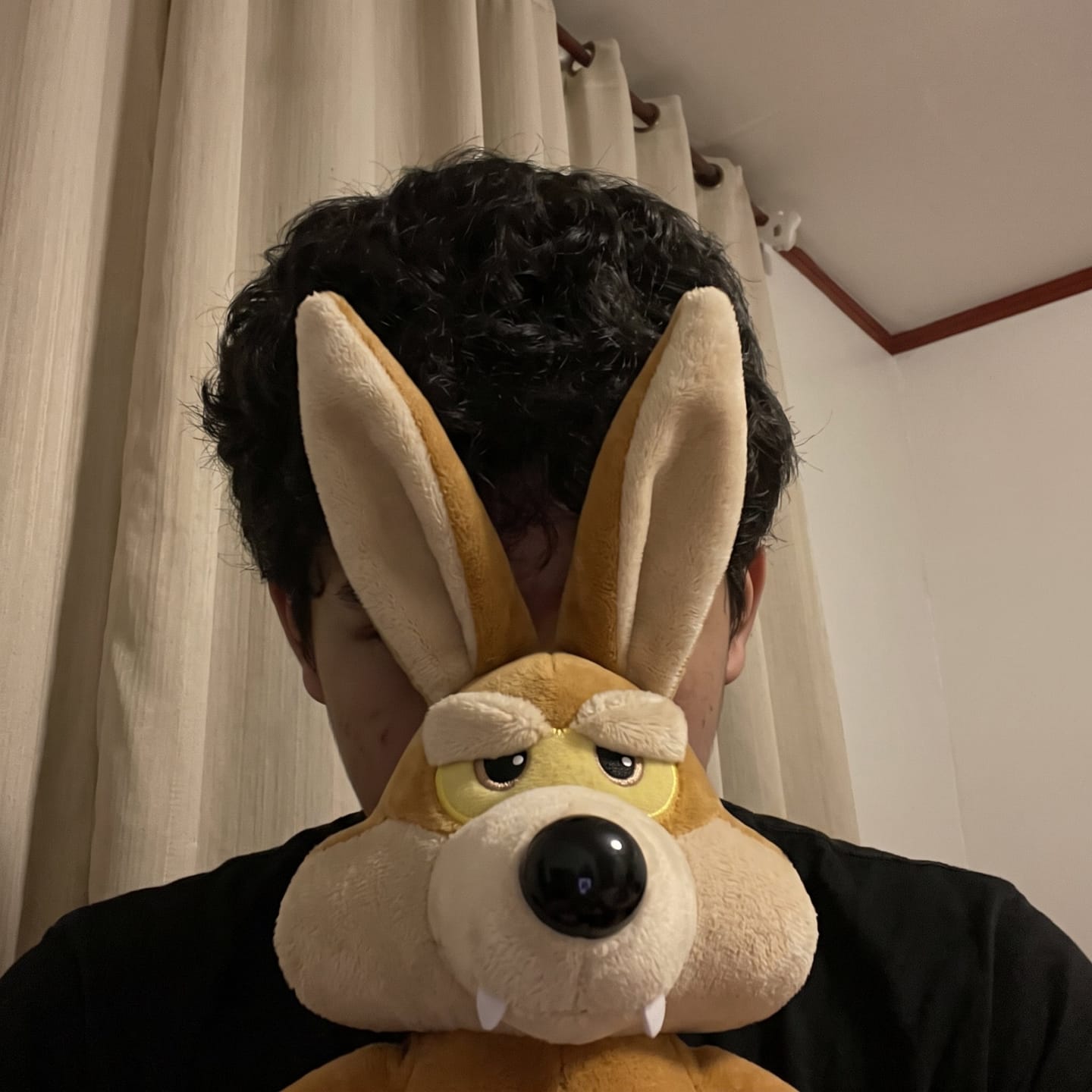 Customer photo review of ZoomiesPets™ Coyote Corredor