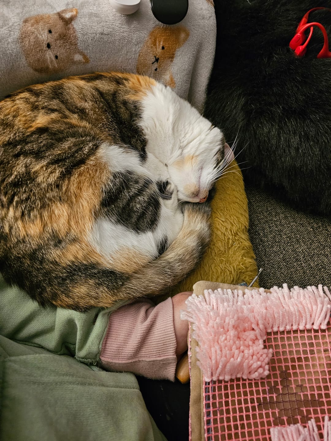 Customer photo review of SCAREDY CAT - Latch Hook Cushion Kit