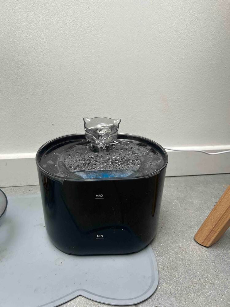 Customer photo review of Fontaine à Eau pour Chat 2,2L – Filtration Continue